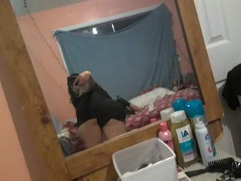 9152911699, female escort, El Paso